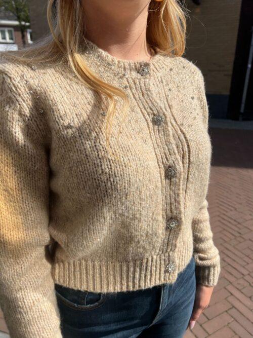 FRACOMINA CARDIGAN - STONE