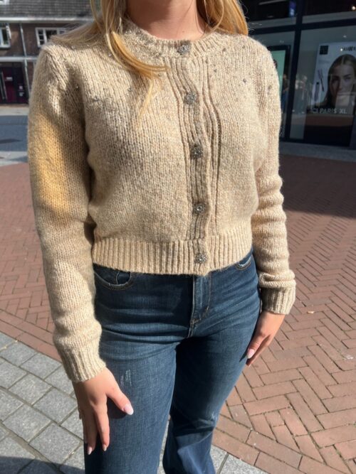 FRACOMINA CARDIGAN - STONE